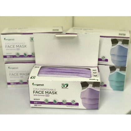 B0501 3 Ply Lint-Free Medical Face Mask Earloop
